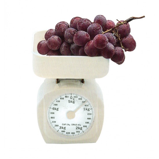 Μηχανική ζυγαριά κουζίνας 5kg 00101194