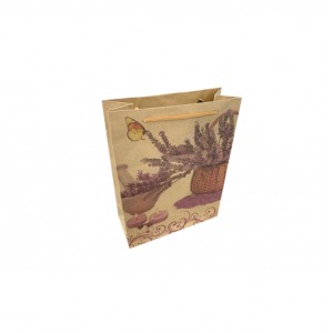 Χάρτινη τσάντα-σακούλα δώρου 24,5x19cm 11401232