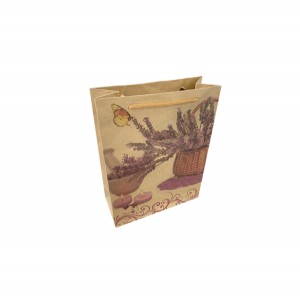 Χάρτινη τσάντα-σακούλα δώρου 24,5x19cm 11401232