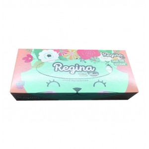 Σετ 100 χαρτομάντηλα Regina 70501003
