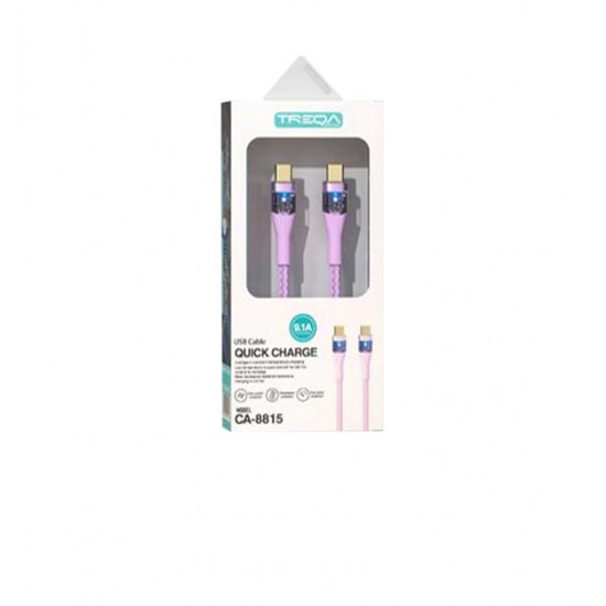 AG-30502146 - Καλώδιο ταχείας φόρτισης type-c σε type-c 1m 9,1A 30502146 Καλώδιο ταχείας φόρτισης type-c σε type-c 1m 9,1A 30502146
