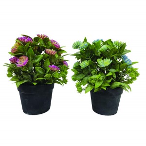 Γλαστράκι πλαστικό με λουλούδια 22cm 87059503066-c