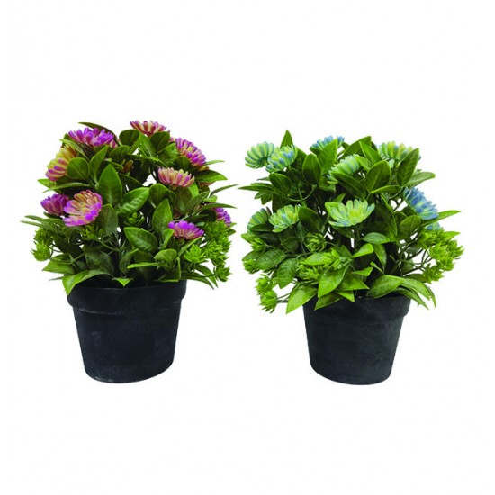 AG-87059503066 - Γλαστράκι πλαστικό με λουλούδια 22cm 87059503066 Γλαστράκι πλαστικό με λουλούδια 22cm 87059503066