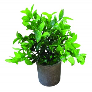 Γλαστράκι πλαστικό με λουλούδια 24cm 10801105