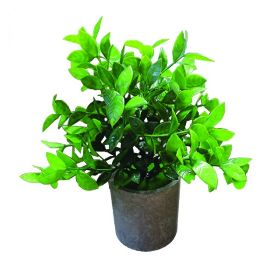 AG-10801105 - Γλαστράκι πλαστικό με λουλούδια 24cm 10801105 Γλαστράκι πλαστικό με λουλούδια 24cm 10801105