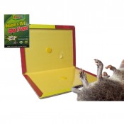 Ποντικοπαγίδες