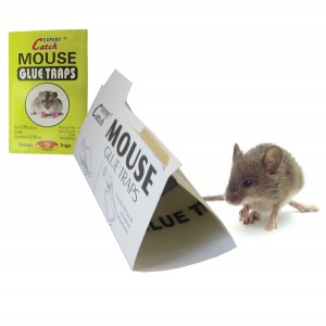 Σετ 2 αυτοκόλλητες ποντικοπαγίδες 30501253