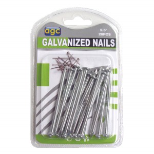 Σετ 20 γαλβανιζέ πρόκες 2,5" 30601260