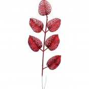 Λουλούδια Χριστουγεννιάτικα