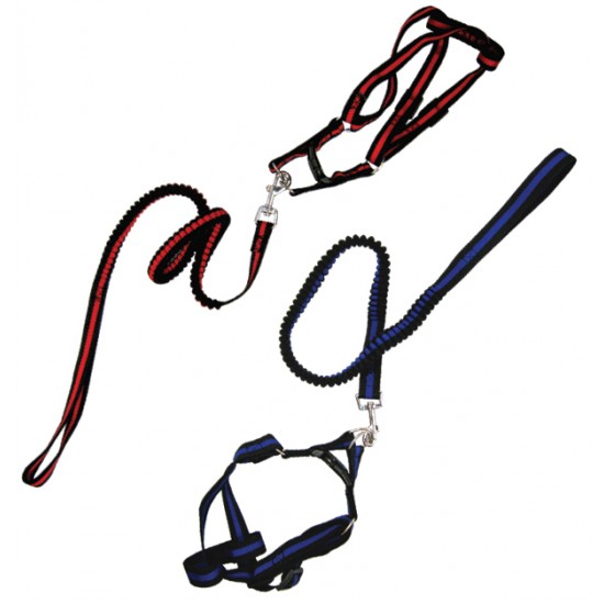 Λουρί σκύλου 250cm [10501574]