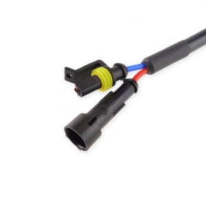 Amio - D2S/D2R ΑΝΤΑΠΤΟΡΑΣ ΜΕ ΚΑΛΩΔΙΩΣΗ ΓΙΑ KIT XENON - 1 ΤΕΜ. (01119/AM) Amio - D2S/D2R ΑΝΤΑΠΤΟΡΑΣ ΜΕ ΚΑΛΩΔΙΩΣΗ ΓΙΑ KIT XENON - 1 ΤΕΜ. (01119/AM)