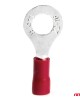 AMC-03078/AM - ΦΙΣΑΚΙΑ ΔΑΧΤΥΛΙΔΙ ΚΟΚΚΙΝΑ RV1.25-6 / 6.5mm ΑΜΙΟ - 10 ΤΕΜ. ΦΙΣΑΚΙΑ ΔΑΧΤΥΛΙΔΙ ΚΟΚΚΙΝΑ RV1.25-6 / 6.5mm ΑΜΙΟ - 10 ΤΕΜ.