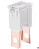 AMC-03404/AM - ΑΣΦΑΛΕΙΕΣ JapVal PAL O ΑΡΣΕΝΙΚΕΣ 120A ΣΕ ΓΚΡΙ ΧΡΩΜΑ AMIO - 2 Τεμ. ΑΣΦΑΛΕΙΕΣ JapVal PAL O ΑΡΣΕΝΙΚΕΣ 120A ΣΕ ΓΚΡΙ ΧΡΩΜΑ AMIO - 2 Τεμ.