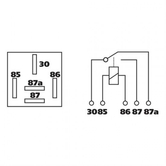 AMC-L4550.3 - Ρελέ Φορτηγού 24V 40Α 5 επαφών Ρελέ Φορτηγού 24V 40Α 5 επαφών