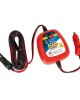 AMC-L7013.7 - ΡΕΥΜΑΤΟΔΟΤΗΣ ΜΕ ΦΙΣ ΑΝΑΠΤΗΡΑ 12V 8Ah EASY 2 START 15-20min ΡΕΥΜΑΤΟΔΟΤΗΣ ΜΕ ΦΙΣ ΑΝΑΠΤΗΡΑ 12V 8Ah EASY 2 START 15-20min
