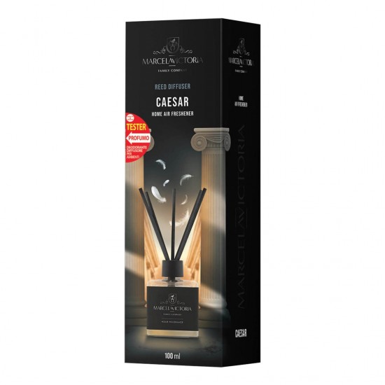 AMC-0006850TA070/OTO - ΑΡΩΜΑΤΙΚΟ ΧΩΡΟΥ 100ml ΜΕ STICKS - CAESAR ΑΡΩΜΑΤΙΚΟ ΧΩΡΟΥ 100ml ΜΕ STICKS - CAESAR