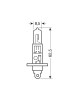 H1 12V 55W P14,5s XENON TOP 4.800K +120% φως  2τεμ.
