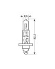 H1 12V 55W P14,5s ΛΑΜΠΑ XENON ULTRA 4.800K +90%  2ΤΕΜ.
