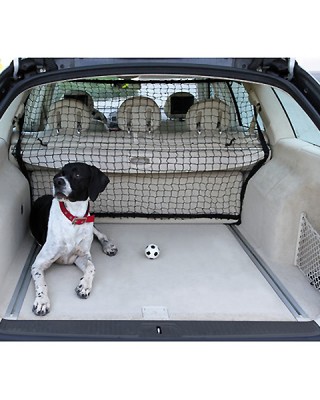 ΔΙΑΧΩΡΙΣΤΙΚΟ ΔΙΧΤΥ ΣΚΥΛΟΥ