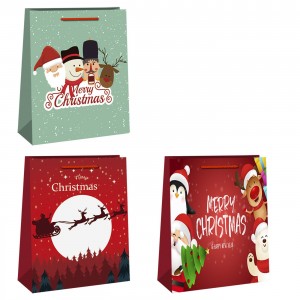 ΤΣΑΝΤΑ ΔΩΡΟΥ ΧΡΙΣΤΟΥΓΕΝΝΩΝ 14x11x6cm Xmasfest 1131829