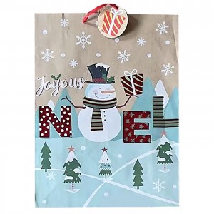 ΤΣΑΝΤΑ ΔΩΡΟΥ XMAS 45x33x12,5cm Xmasfest 1133278