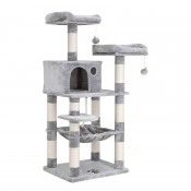 Κατοικίδια