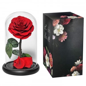 Παντοτινό Τριαντάφυλλο σε Γυάλα 22x14cm Homie 423030 Παντοτινό Τριαντάφυλλο σε Γυάλα 22x14cm Homie 423030