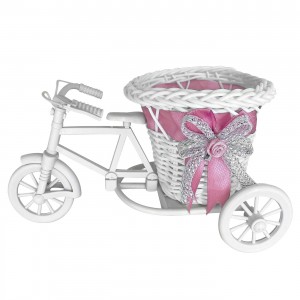 Ποδήλατο Διακοσμητικό με Κασπώ  Homie 423034