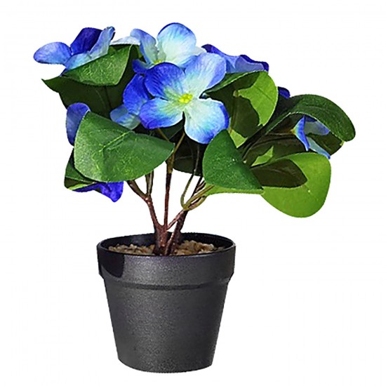 ΓΛΑΣΤΡΑΚΙ ΜΑΥΡΟ ΠΛΑΣΤΙΚΟ ΜΕ ΧΩΜΑ & ΛΟΥΛΟΥΔΙ ΑΝΟΙΧΤΑ ΦΥΛΛΑ 22x8cm Homie 423036