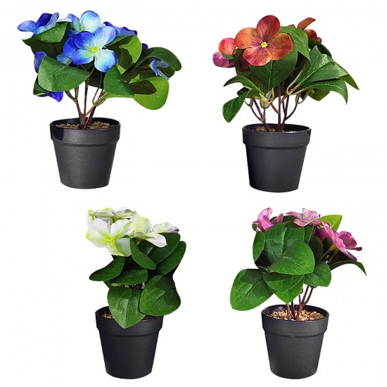 ΓΛΑΣΤΡΑΚΙ ΜΑΥΡΟ ΠΛΑΣΤΙΚΟ ΜΕ ΧΩΜΑ & ΛΟΥΛΟΥΔΙ ΑΝΟΙΧΤΑ ΦΥΛΛΑ 22x8cm Homie 423036