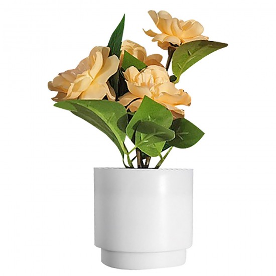 ΓΛΑΣΤΡΑΚΙ ΑΣΠΡΟ ΠΛΑΣΤΙΚΟ ΜΕ ΤΡΙΑΝΤΑΦΥΛΛΑ 18x7,5cm Homie 423038