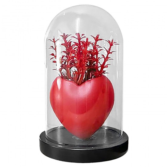 ΓΥΑΛΑ ΜΕ ΛΟΥΛΟΥΔΙΑ ΚΟΚΚΙΝΗ ΚΑΡΔΙΑ 18x11cm Homie 423046