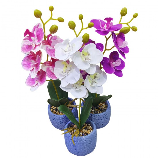 Γλαστράκι Ορχιδέες με Χώμα & Βότσαλα 34cm Homie 423122