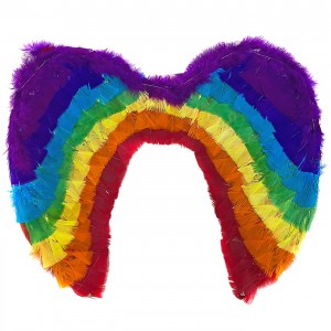 Φτερά Πολύχρωμα 50x35cm Carnavalista 232261 Φτερά Πολύχρωμα 50x35cm Carnavalista 232261