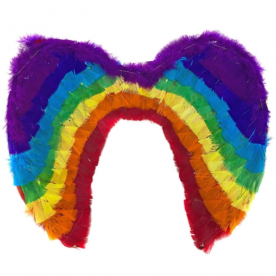 ΦΤΕΡΑ ΠΟΛΥΧΡΩΜΑ 50x40cm Carnavalista 232261