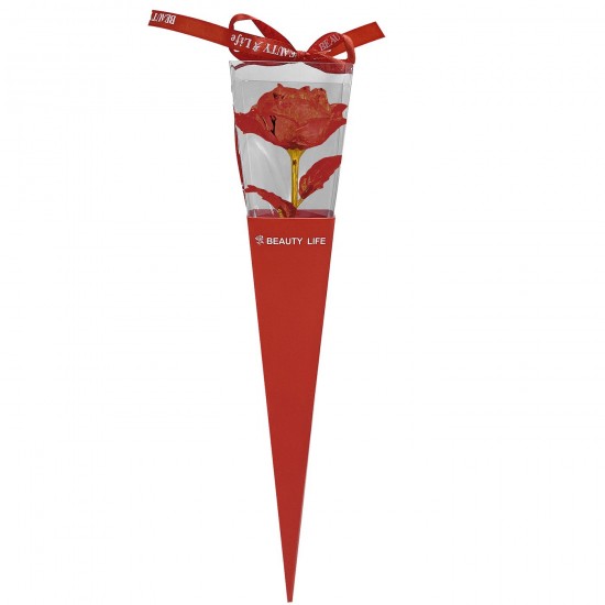 ΤΡΙΑΝΤΑΦΥΛΛΟ ΜΕ ΦΩΣ ΣΕ ΚΟΥΤΙ 35cm Carnavalista 232371