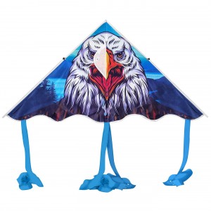 Χαρταετός Τριγωνικός με Ουρές 115x60cm Carnavalista 232715 Χαρταετός Τριγωνικός με Ουρές 115x60cm Carnavalista 232715