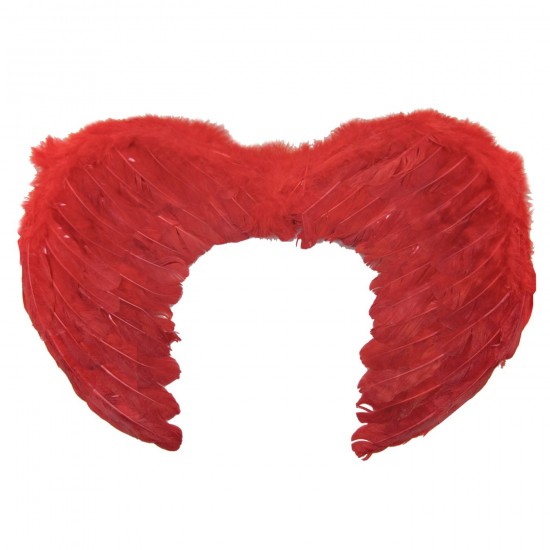 Φτερά Διαβόλου 45x35cm Carnavalista 23422