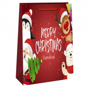 ΤΣΑΝΤΑ ΔΩΡΟΥ ΧΡΙΣΤΟΥΓΕΝΝΩΝ 56x40x17cm Xmasfest 113364